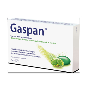 GASPAN CAPSULA MOLLE GASTRORESISTENTE 14 CAPSULE IN BLISTER PVC/PVDC-AL