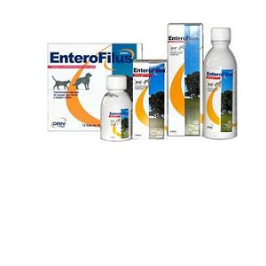 ENTEROFILUS MANGIME SEMPLICE 250 ML