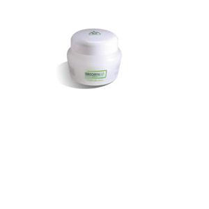 DECORTIL C CREMA VASETTO 250 ML