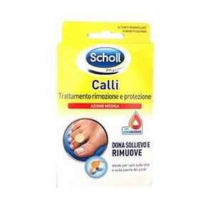 SCHOLL CALLI CER CALLIFUGHI