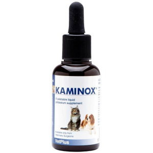 KAMINOX SCIROPPO 60 ML