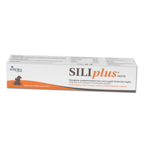 SILIPLUS PASTA 30 G