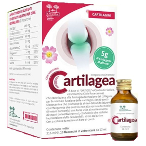 CARTILAGEA SALUGEA 18 FLACONCINI DA 12 ML