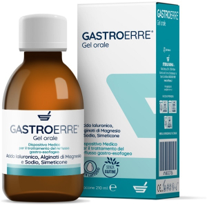 GASTROERRE 210 ML