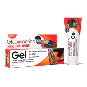 GLUCOSAMINA JOINT FLEX GEL FORTE 125 ML